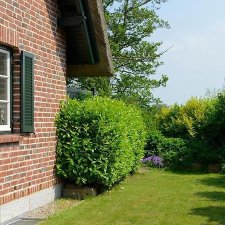 Wildrose Ferienhaus Больтенхаген Экстерьер фото